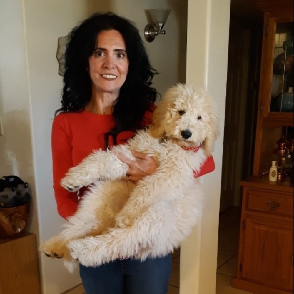 Meet your Posher, Kristy